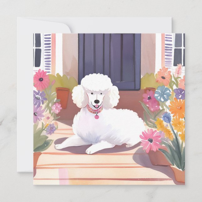 White Poodle | Dog Pet Watercolor Flowers Card (Front)