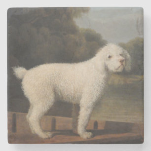 White Poodle in a Punt (by George Stubbs) Stone Coaster
