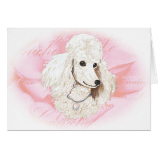 White Poodle n Rose Portrait