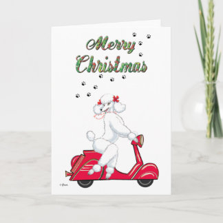 White Poodle on Red Scooter Merry Christmas Cards