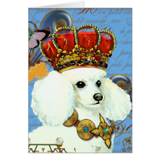 White Poodle Wearing Jewelled Crown Portrait
