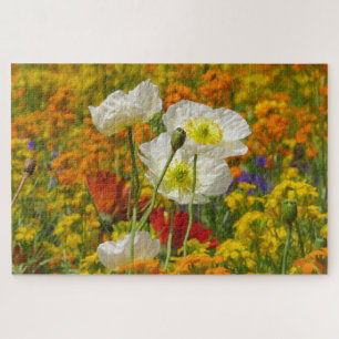 White poppies growing around the colourful flowers jigsaw puzzle
