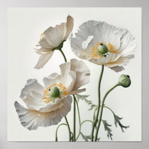 White Poppy Flowers Art Print Poster
