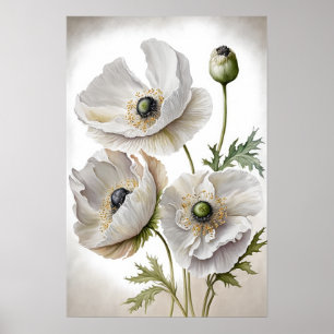 White Poppy Flowers Art Print Poster