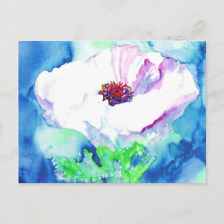 White Poppy. Postcard