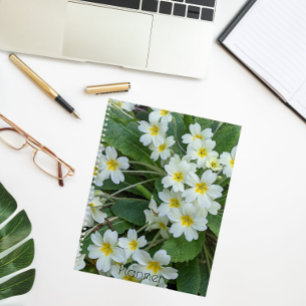 White Primroses with Yellow Centres Floral Planner