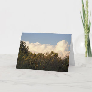 White Puffy Clouds over Treetops Background Card