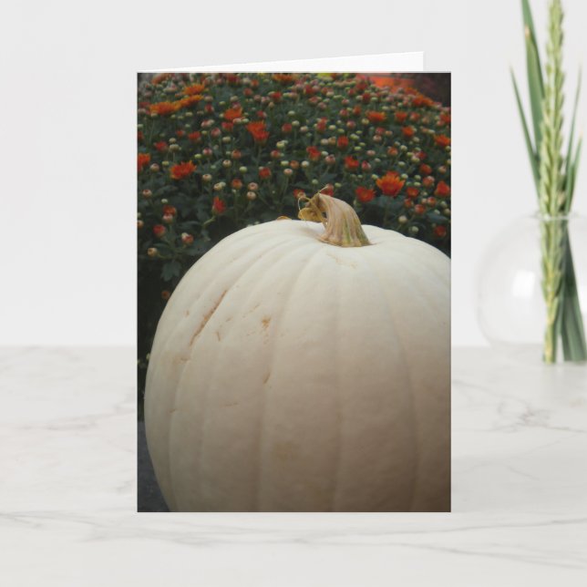 White Pumpkin Thankgsgiving card (Front)