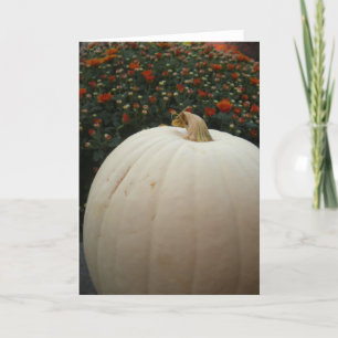 White Pumpkin Thankgsgiving card