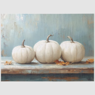 White Pumpkins on Vintage Blue Table Tissue Paper
