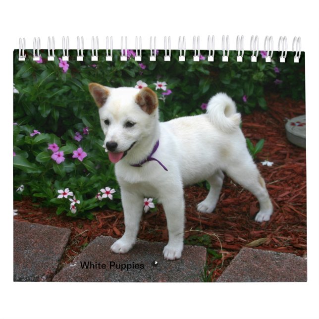 White Puppies Calendar (Cover)