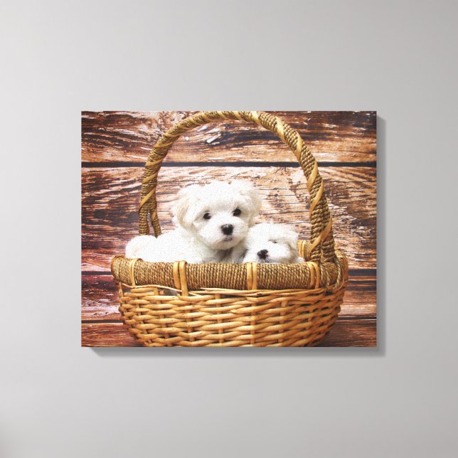 White Puppies In A Basket Canvas Print (Front)