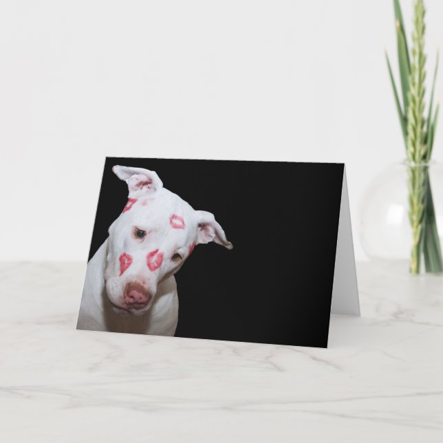 White Puppy Dog Love, Sealed with Lipstick Kisses Card (Front)