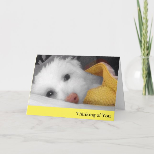 White Puppy, Yellow Blanket Thinking of You Card (Front)