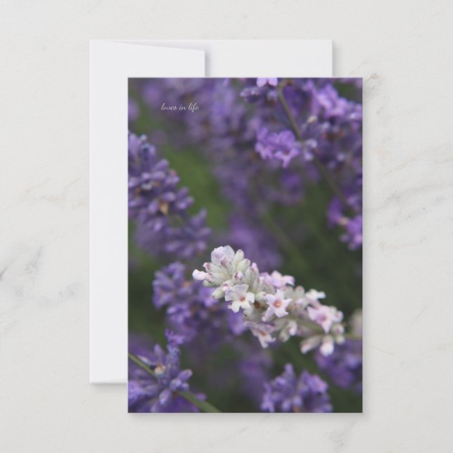 White & Purple Lavender Card (Front)