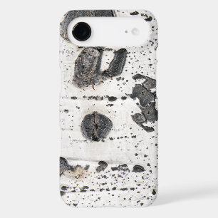 White Quaking Aspen Bark Close-Up Photograph
