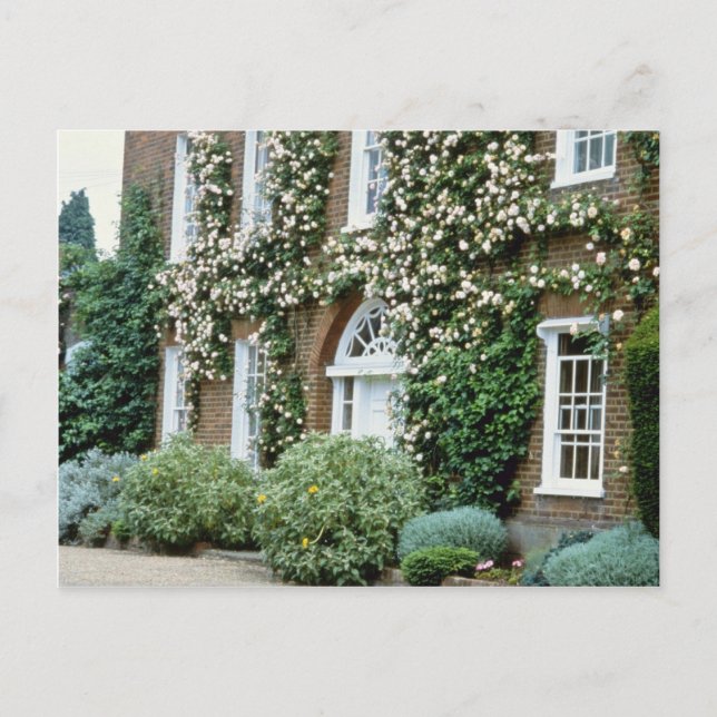 white Queen Anne House With Climbing Rose Cecile B Postcard (Front)