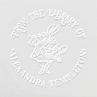 White Rabbit Alice in Wonderland Library Book Name