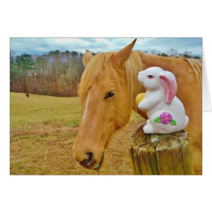 White rabbit and blonde yellow horse
