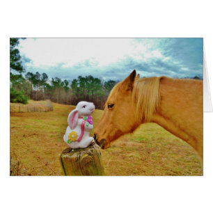 White Rabbit and Yellow Horse