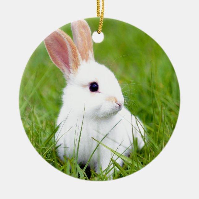 White Rabbit Ceramic Tree Decoration (Front)