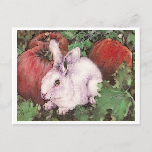 White Rabbit in the Pumpkin Patch Postcard (Front)