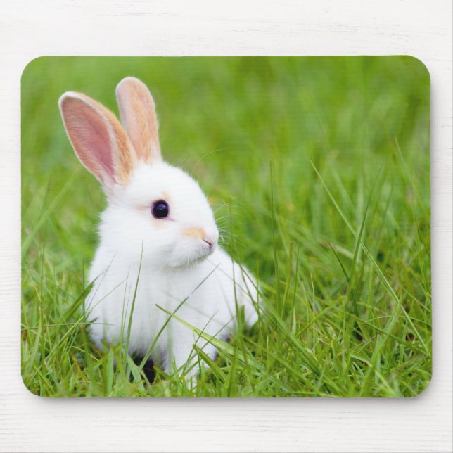 White Rabbit Mouse Pad (Front)