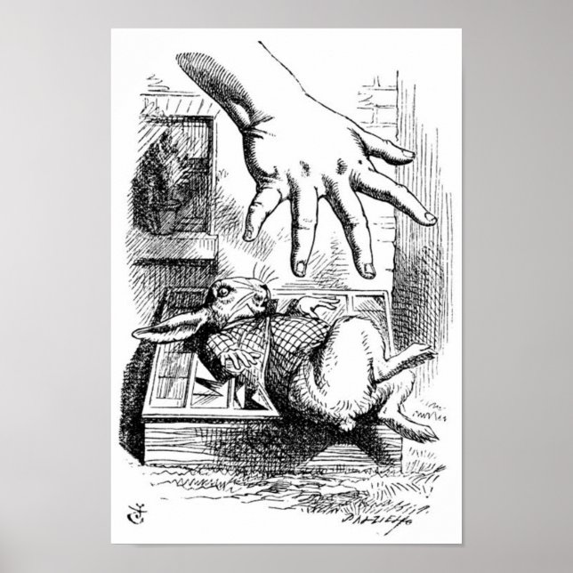 White Rabbit Poster (Front)