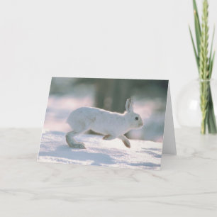 White Rabbit Runs Holiday Card
