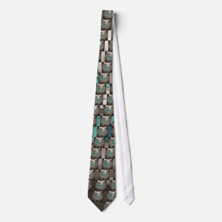 white rabbit with clock tie