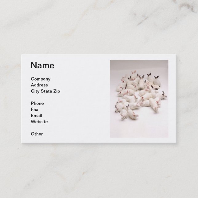 White Rabbits Business Card (Front)