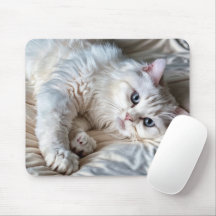White Ragdoll Cat 
