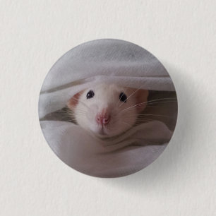 White Rat Badge / Button