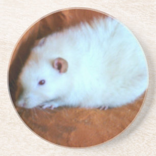 White Rat Snowball Coasters