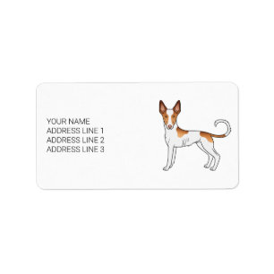 White & Red Ibizan Hound Smooth Coat Dog With Text Label