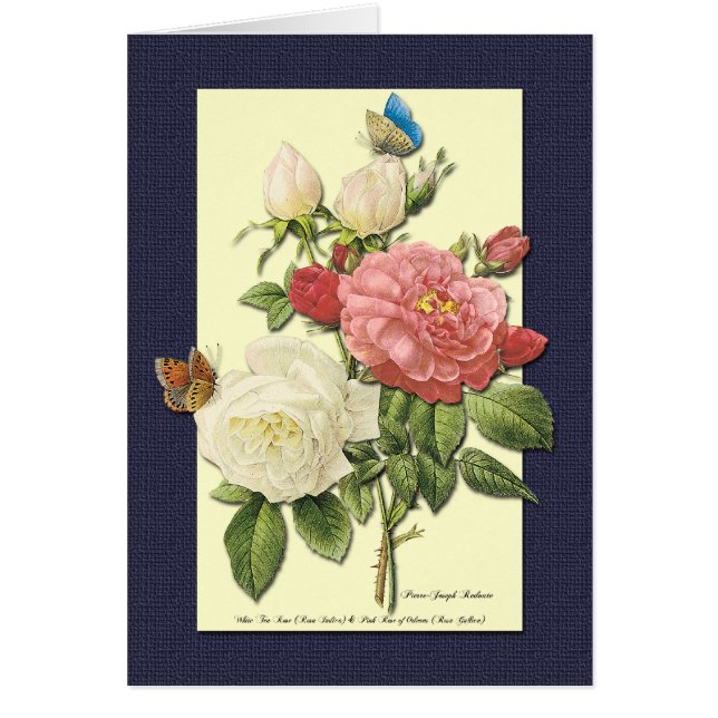 White Red Roses Blank Botanical Art Card (Front)
