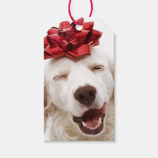 WHITE RETRIEVER WITH RED BOW GIFT TAG (Front)