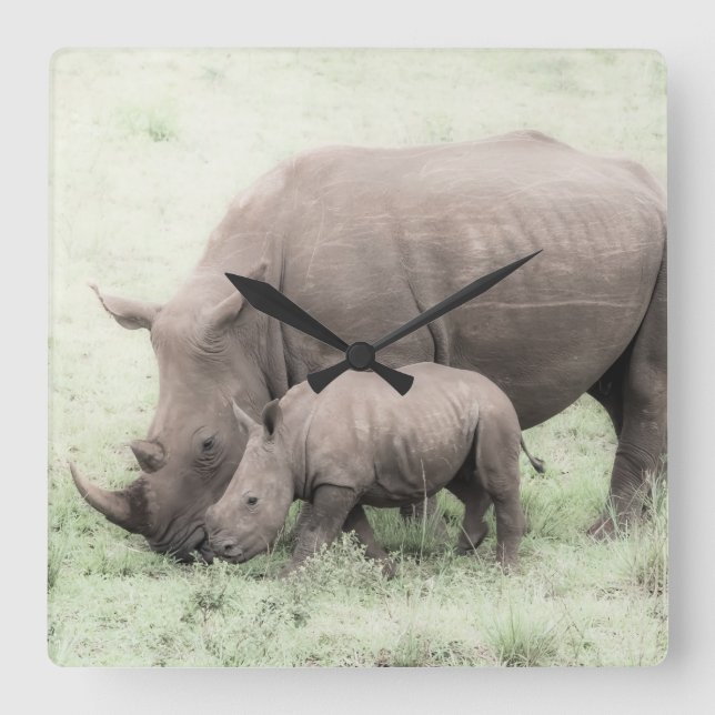 White Rhino & Baby Clock (Front)