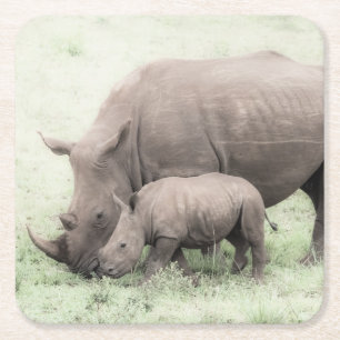 White Rhino & Baby Coasters