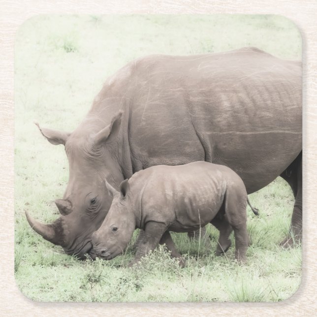 White Rhino & Baby Coasters (Front)