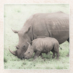 White Rhino & Baby Glass Coasters