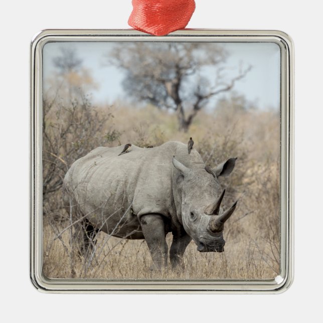 White Rhino Metal Tree Decoration (Front)