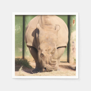 White rhino napkin