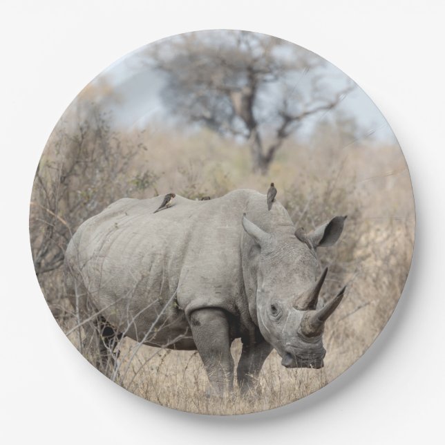 White Rhino Paper Plate (Front)