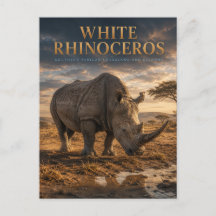 White Rhinoceros Savanna ANIMALS