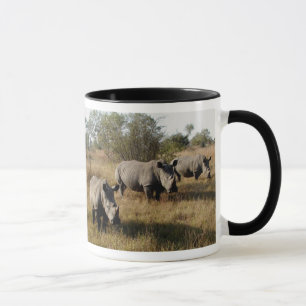 White Rhinos in Sabi Sabi (South Africa) Mug