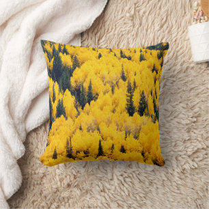 White River National Forest   Aspen, Colorada Cushion