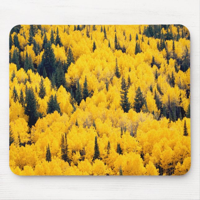 White River National Forest | Aspen, Colorada Mouse Pad (Front)