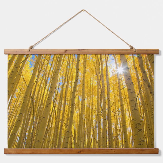 White River National Forest Hanging Tapestry (Front)