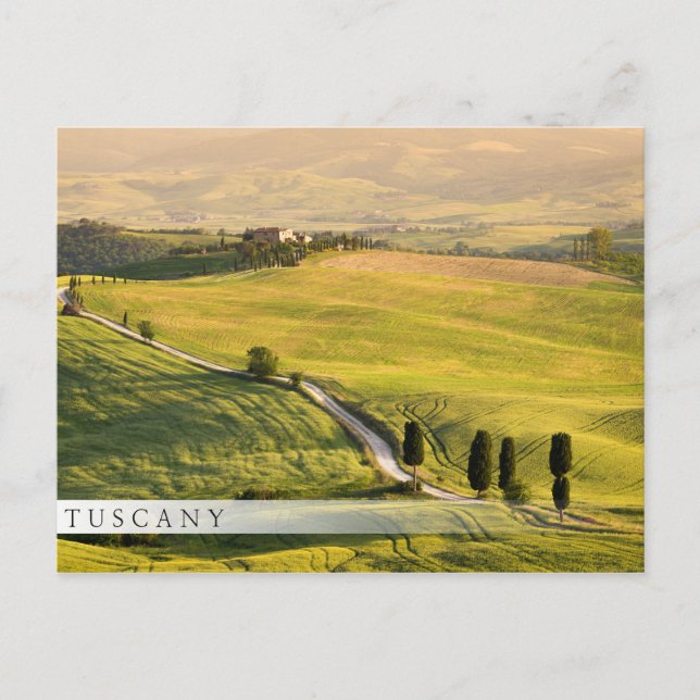 White road in Tuscany landscape bar postcard (Front)